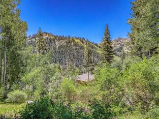 Nestled amidst lush greenery and towering trees, this property offers a serene mountain escape.