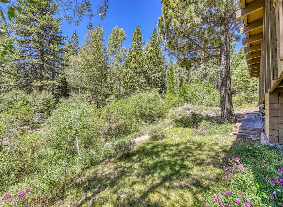 Nestled amidst a lush forest, this property offers a serene retreat with abundant natural beauty.