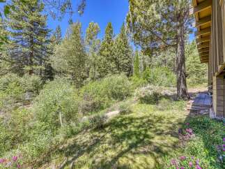 Nestled amidst a lush forest, this property offers a serene retreat with abundant natural beauty.