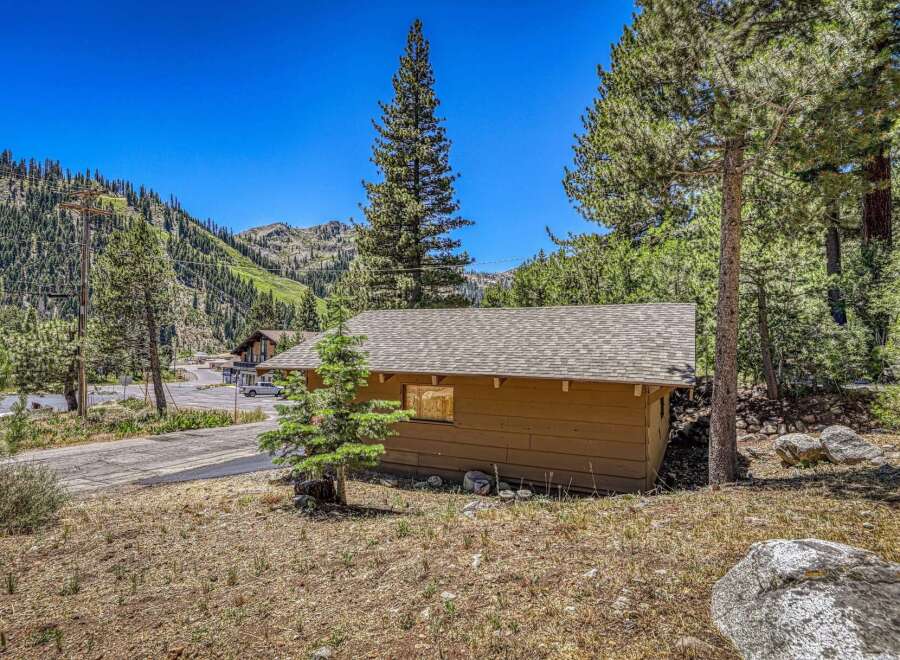 Nestled amidst towering pine trees and a picturesque mountain backdrop, this charming cabin offers a serene escape.