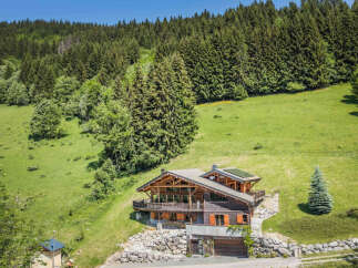 Nestled amidst a lush green hillside and surrounded by a dense forest, this stunning wooden chalet offers a serene mountain retreat.