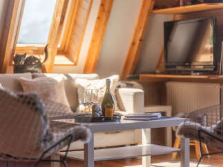 Experience cozy living in this charming attic apartment, bathed in natural light from skylight windows.