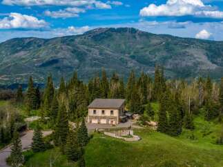 Nestled amidst a lush forest with a majestic mountain backdrop, this property offers a serene retreat.