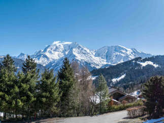 Experience breathtaking mountain views from this stunning property, nestled amidst lush evergreen trees and overlooking snow-capped peaks.