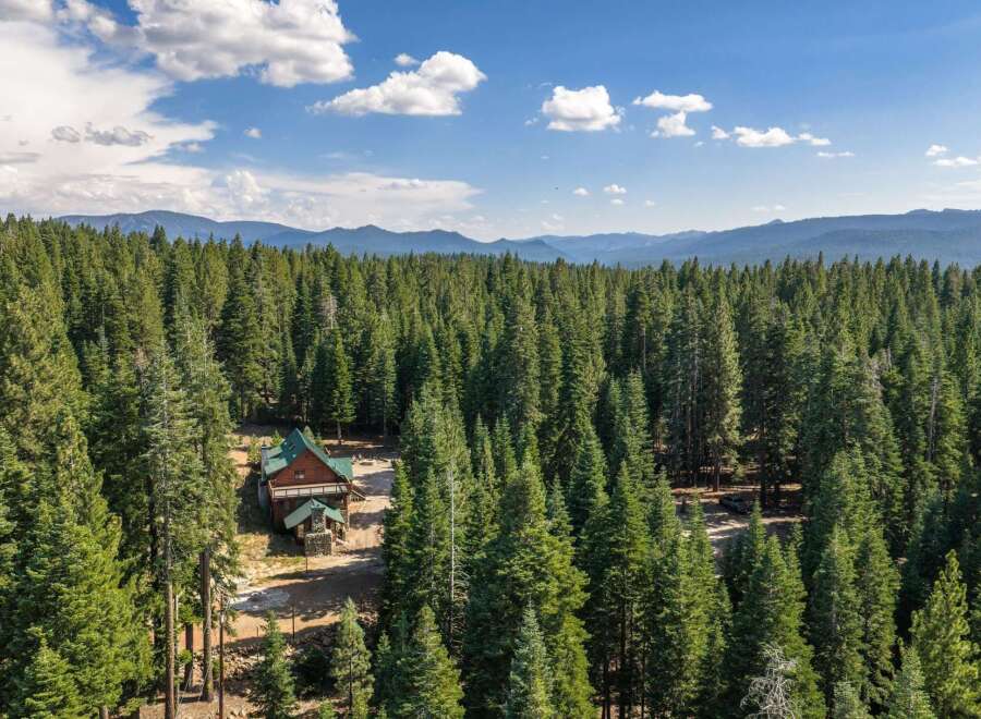 Nestled amidst a dense forest of towering pine trees, this charming cabin offers a serene retreat.