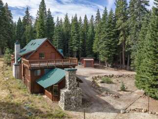 Nestled amidst a dense forest of towering pine trees, this charming log cabin offers a serene mountain retreat.