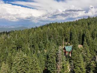Nestled amidst a dense forest of evergreen trees, this charming cabin offers a secluded retreat.