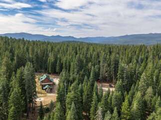 Nestled amidst a dense forest of towering pine trees, this secluded cabin offers a serene mountain retreat.
