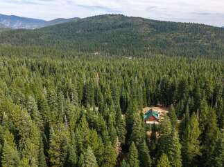 Nestled within a vast, verdant forest, this charming cabin offers a serene retreat.