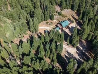 Nestled amidst a dense forest, this property offers a secluded retreat with a charming cabin featuring a distinctive green roof.