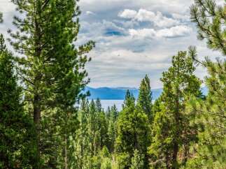 Experience breathtaking lake views framed by majestic pine trees, offering a serene and private setting.