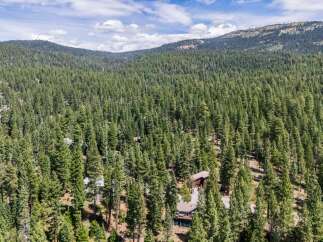 Nestled amidst a dense forest of towering pine trees, this property offers a secluded mountain retreat.