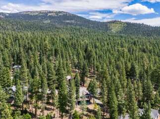 Nestled amidst a dense forest of towering pine trees, this property offers a secluded mountain retreat.
