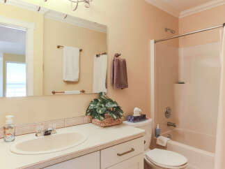 This bathroom features a light beige vanity with a sink and a large mirror, complemented by a beige bathtub and shower with a white curtain.