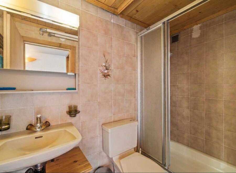 This charming bathroom features a classic sink with vintage-style faucets, complemented by a convenient wall-mounted shelf holding cleaning essentials.