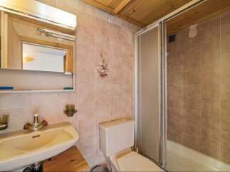 This charming bathroom features a classic sink with vintage-style faucets, complemented by a convenient wall-mounted shelf holding cleaning essentials.