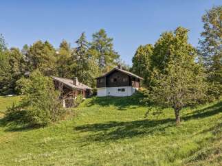 Nestled amidst lush greenery and mature trees, this charming property features two rustic wooden chalets offering a serene mountain retreat.