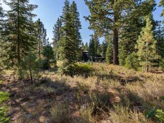 Nestled amidst a serene pine forest, this property offers a tranquil retreat with a modern dark-wood home.