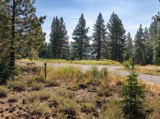 Discover a serene setting with this property, nestled amidst tall pine trees and offering a glimpse of a lush green golf course.