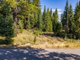 Discover this stunning property nestled amongst mature pine trees, offering a serene and private setting.