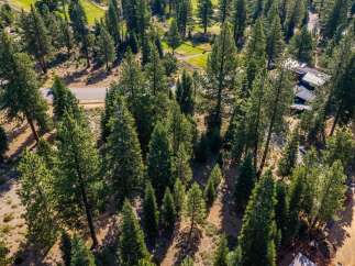 Nestled amidst a dense forest of mature pine trees, this property offers a serene and private retreat.