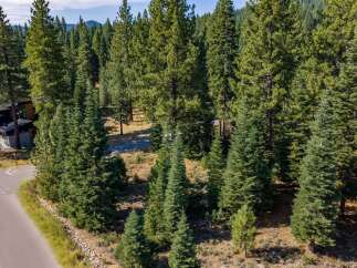 Nestled amidst a majestic pine forest, this property offers a serene and private retreat.