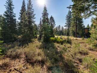 Nestled amidst tall pine trees, this property offers a serene and private setting.