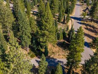 Discover this stunning property nestled amongst mature pine trees, offering a serene and private setting.