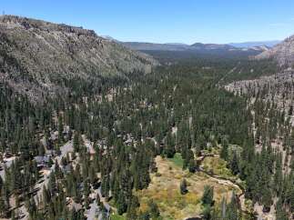 Nestled amidst a dense pine forest, this property offers a serene mountain retreat with charming cabins scattered throughout.