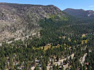 Nestled amidst a dense pine forest, this property offers a serene mountain escape with stunning natural beauty.