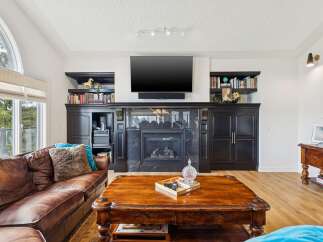 This living room features a stunning black marble fireplace as the focal point, complemented by custom built-in dark wood cabinetry and shelving.