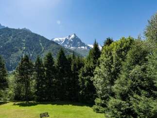 Experience breathtaking mountain views from this stunning property, nestled amidst lush green forests.