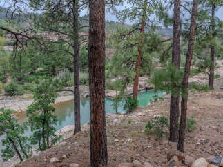 Escape to this serene riverside property, offering a tranquil retreat surrounded by mature pine trees and natural beauty.