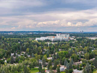 Discover a serene suburban landscape with lush greenery and charming homes, perfect for families seeking tranquility.