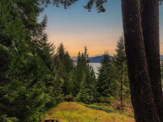 Experience breathtaking sunset views over the water from this stunning property, framed by lush evergreen trees.