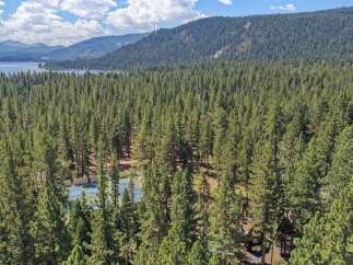Nestled amidst a dense forest of towering pine trees, this property offers a private oasis with its own tennis courts.