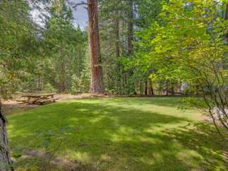 Enjoy the serene beauty of this spacious backyard, perfect for outdoor gatherings and relaxation.