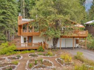 Nestled amidst towering trees, this charming home offers a serene mountain retreat.