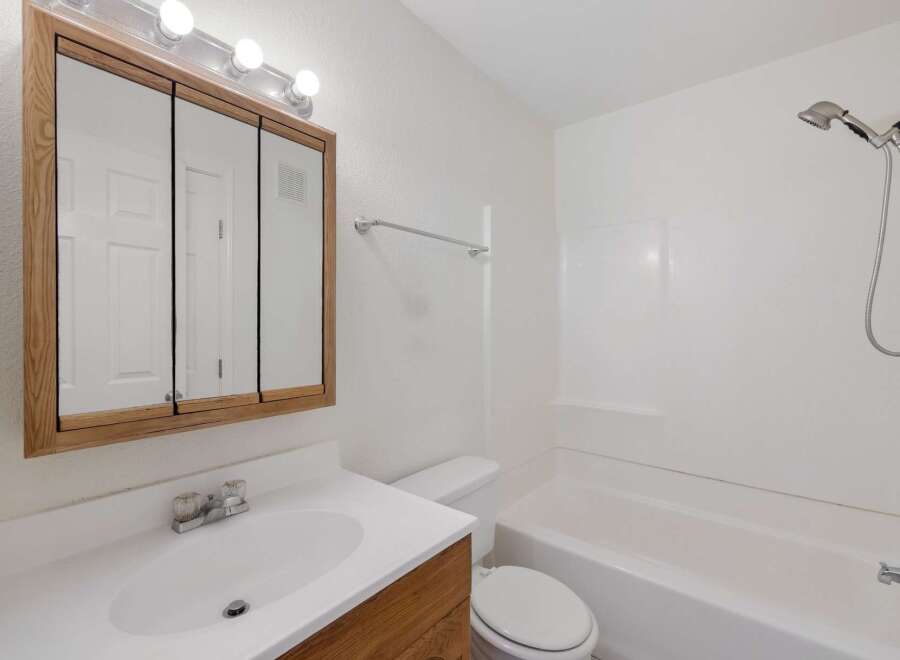 This bathroom features a clean and functional design with a white vanity and a large mirrored medicine cabinet.