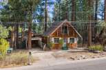 Nestled amongst tall pine trees, this charming wooden cabin offers a cozy retreat.