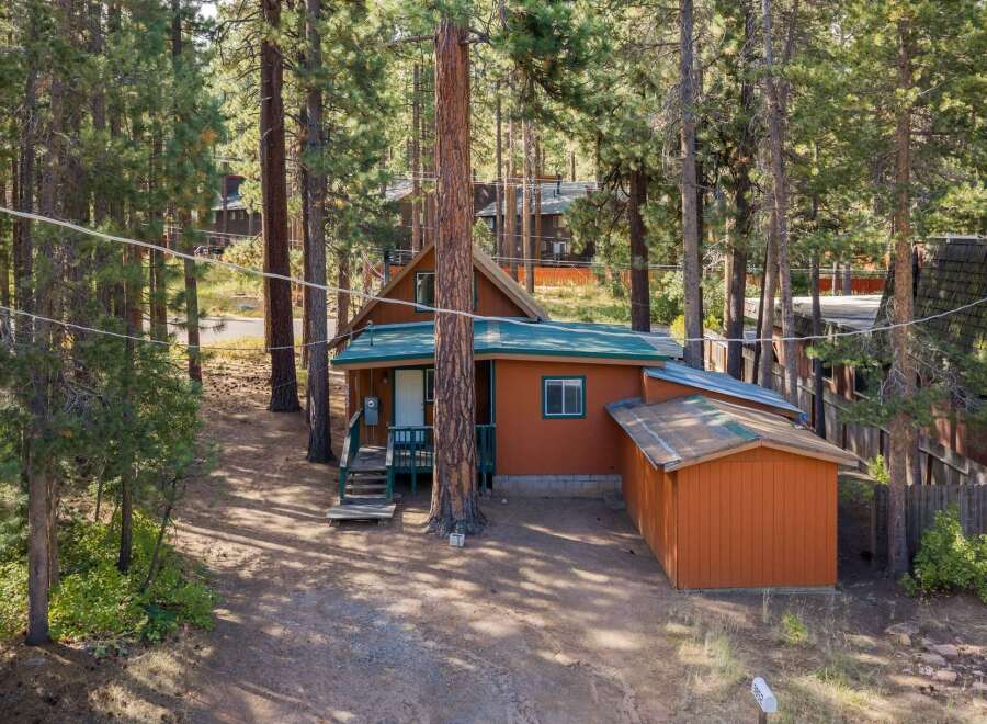 Nestled among tall pine trees, this charming cabin offers a serene mountain retreat.