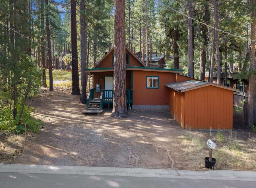 Nestled amongst tall pine trees, this charming cabin offers a serene retreat.