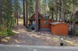 Nestled amongst tall pine trees, this charming cabin offers a serene retreat.