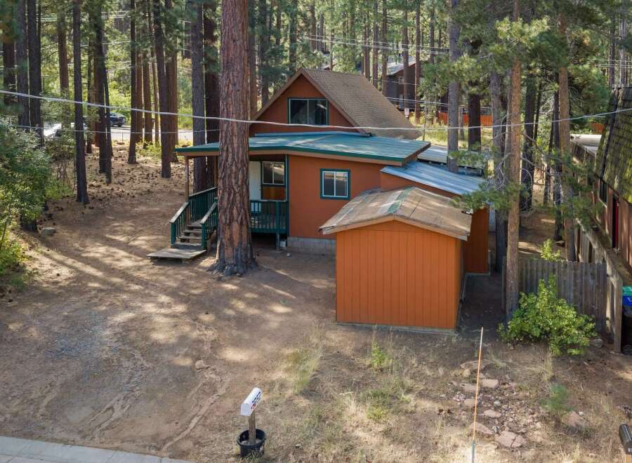 Nestled amongst tall pine trees, this charming cabin offers a serene retreat.