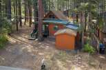 Nestled amongst tall pine trees, this charming cabin offers a serene retreat.