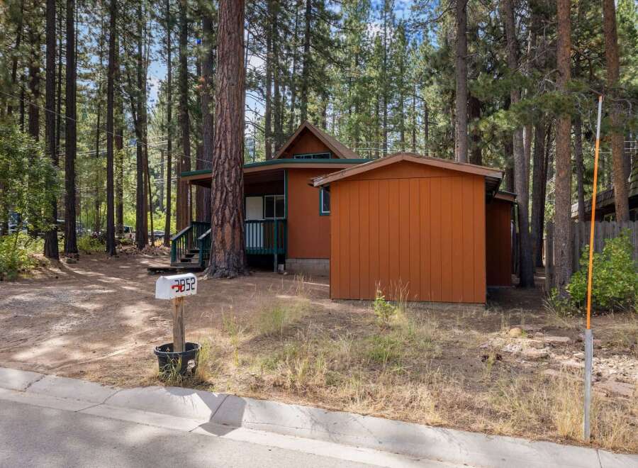 Nestled among tall pine trees, this charming cabin offers a serene retreat.