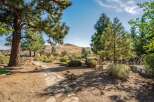 Discover your private oasis with this stunning property featuring a charming stone pathway leading through a mature pine forest.