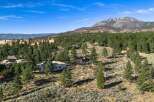 Discover this stunning property nestled amidst a picturesque landscape of mature pine trees and rolling hills.