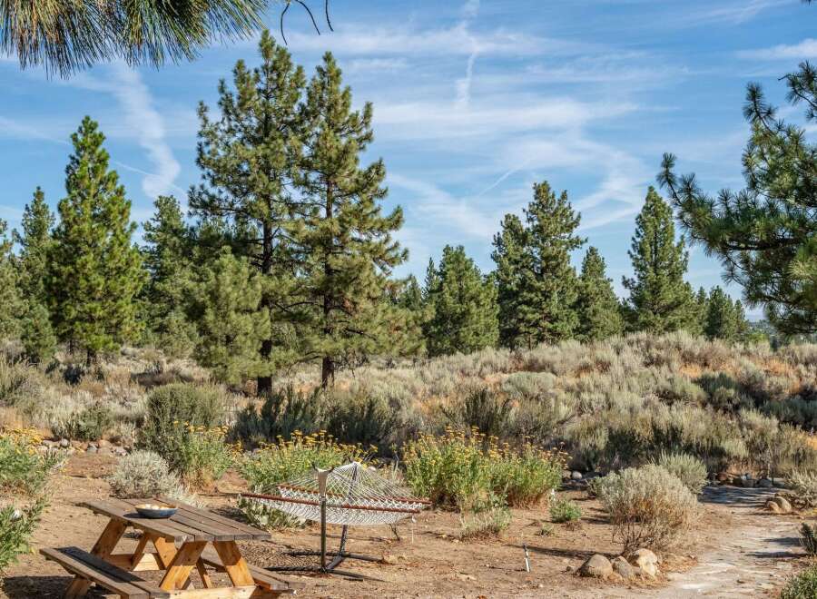 Enjoy the serene outdoor living with a charming picnic table and a relaxing hammock, perfect for unwinding amidst the natural beauty.
