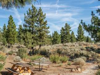 Enjoy the serene outdoor living with a charming picnic table and a relaxing hammock, perfect for unwinding amidst the natural beauty.